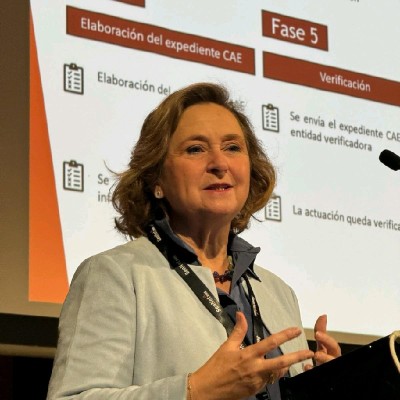 María I. Cubillo Sagüés